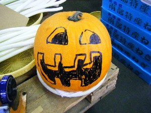 20081018 �J�{�R��_78