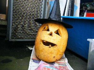 20081025-26 ���T�̔����ł�_4