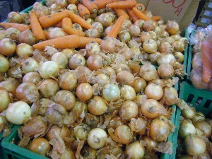 20081025-26 ���T�̔����ł�_8