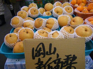 20081025-26 ���T�̔����ł�_10