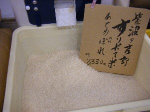 20081025-26 ���T�̔����ł�_1