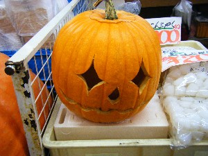 20081025-26 ���T�̔����ł�_15