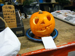 20081025-26 ���T�̔����ł�_19