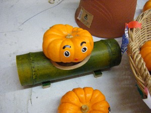 20081025-26 ���T�̔����ł�_25