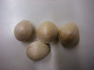 20081101 ���T�̔����ł�_3
