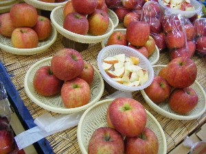 20081101 ���T�̔����ł�_21