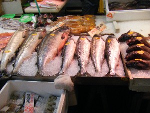 20081101 ���T�̔����ł�_26