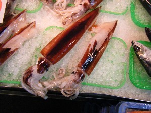 20081101 ���T�̔����ł�_31