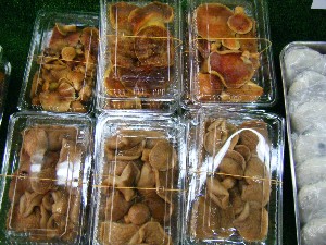 2008/11/08 ���T�̔�����s��_14