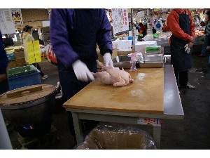 20081109-�{�̍ق���������-_5