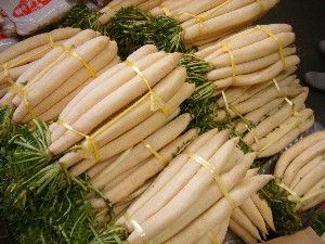 2008/11/15 ���T�̔�����s��_6
