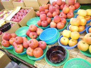 2008/11/15 ���T�̔�����s��_14