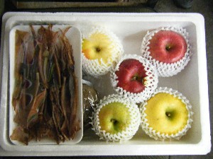 2008/11/15 ���T�̔�����s��_20