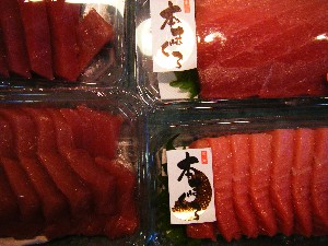 2008/11/15 ���T�̔�����s��_62
