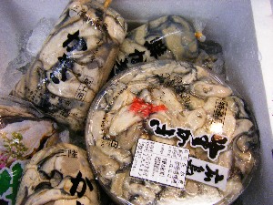 2008/11/15 ���T�̔�����s��_73