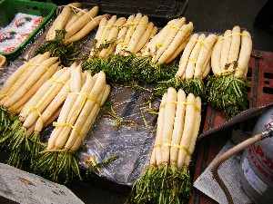 2008/11/15 ���T�̔�����s��_79