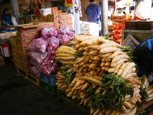 2008/11/22 �{���̔����ł�_1