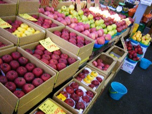 2008/11/22 �{���̔����ł�_3