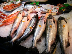 2008/11/22 �{���̔����ł�_8