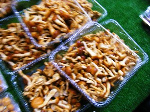 2008/11/22 �{���̔����ł�_13