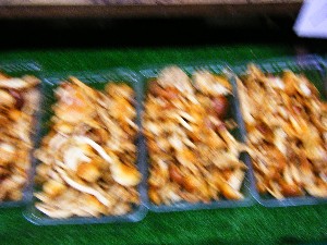 2008/11/22 �{���̔����ł�_14