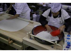 2008/11/22�`23 ��ł����Ύ�����_60