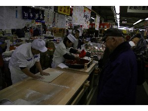 2008/11/22�`23 ��ł����Ύ�����_62