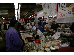 2008/11/22�`23 ��ł����Ύ�����_66