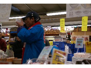 2008/11/22�`23 ��ł����Ύ�����_69