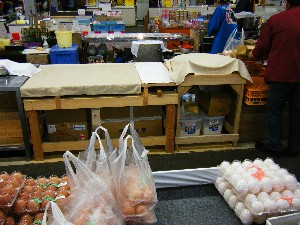 2008/11/22�`23 ��ł����Ύ�����_1