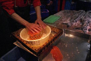 2008/11/22 ���͂炱���݂ق���������_3
