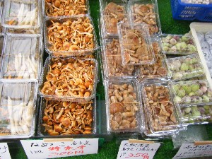 2008/11/29 �{���̔����ł�_4