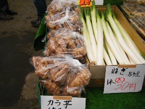 2008/11/29 �{���̔����ł�_5