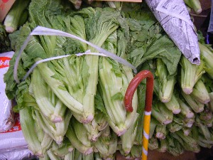 2008/11/29 �{���̔����ł�_10
