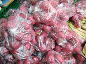 2008/11/29 �{���̔����ł�_16