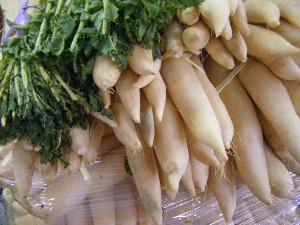 2008/11/29 �{���̔����ł�_19