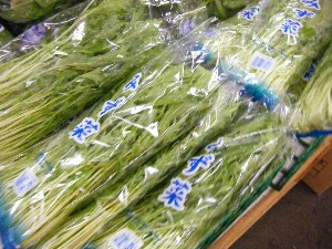 2008/11/29 �{���̔����ł�_20