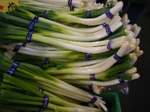 2008/11/29 �{���̔����ł�_21