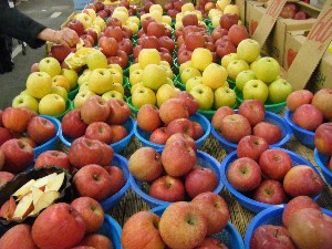 2008/11/29 �{���̔����ł�_22