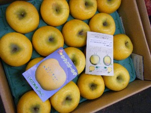 2008/11/29 �{���̔����ł�_24