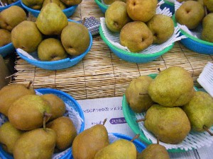 2008/11/29 �{���̔����ł�_25