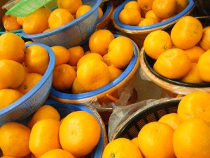 2008/11/29 �{���̔����ł�_26