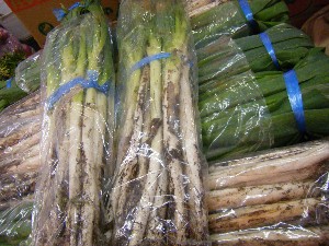 2008/11/29 �{���̔����ł�_29