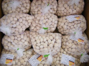 2008/11/29 �{���̔����ł�_30