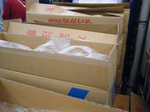 2008/11/29 �{���̔����ł�_33