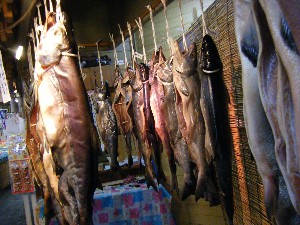 2008/11/29 �{���̔����ł�_36
