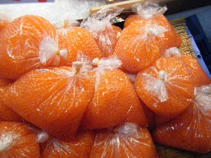2008/11/29 �{���̔����ł�_40