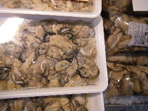 2008/11/29 �{���̔����ł�_41