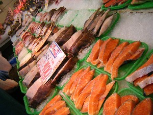 2008/11/29 �{���̔����ł�_44