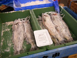 2008/11/29 �{���̔����ł�_46